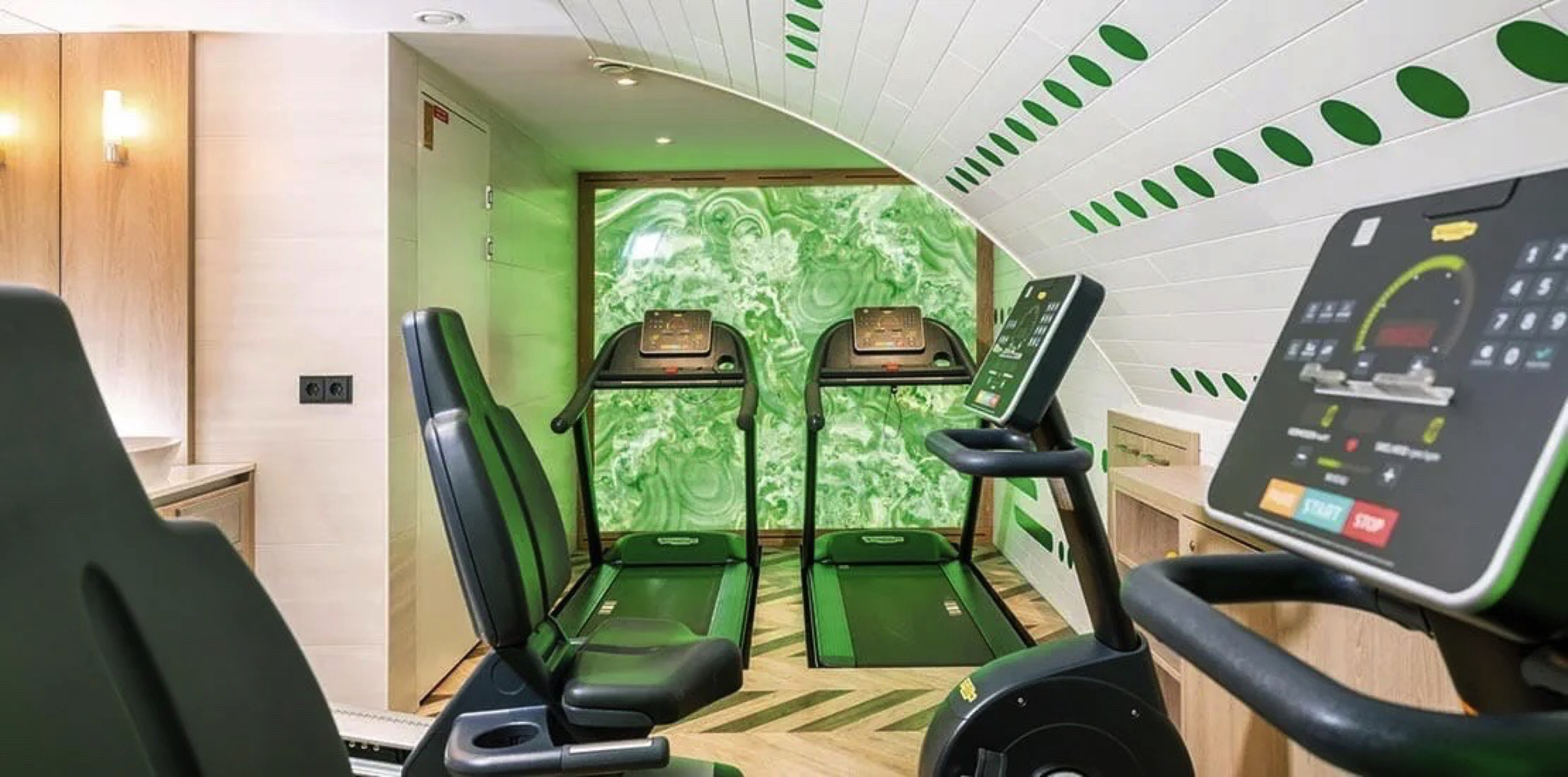 Spirit of the Danube - Gym